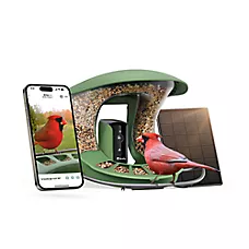Birdfy Smart Feeder 2