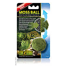 Exo Terra? Reptile Moss Ball - Humidity Terrarium Moss