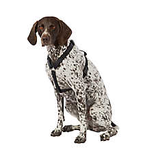 Top Paw? Basic Dog Harness, Slip On Dog Harness, Adjustable, Multiple Colors, Multiple Sizes