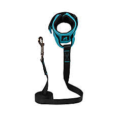Gooby Mesh Wristband Dog Leash 6-Foot Long