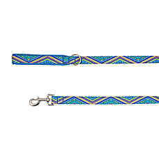 Top Paw? Blue Retro Stripe Dog Leash, Blue Dog Leash, Walking Dog Leash, 4' Long