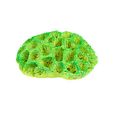 Top Fin? Aquarium Decor - Green Glow Coral - Fish Tank Decor - XS