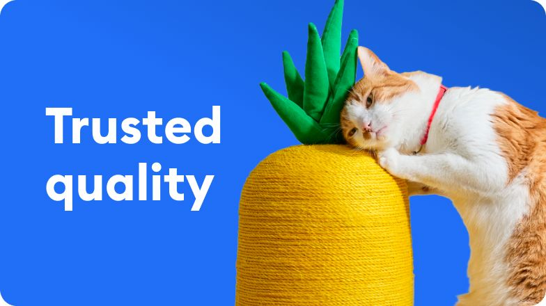 A cat rubbing against pineapple scratching post - Trusted quality