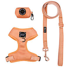 Sassy Woof Apple Cider Dog Harness, Leash and Waste Bag Holder Bundle