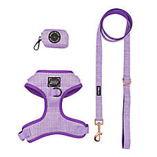 Sassy Woof Aurora Dog Harness, Leash and Waste Bag Holder Bundle