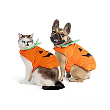 Thrills & Chills Pumpkin Dog & Cat Costume