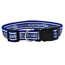 Pets First Kentucky Wildcats Satin Dog Collar