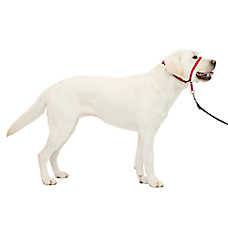 PetSafe? Gentle Leader Nylon Dog Headcollar