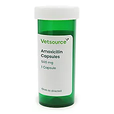 Amoxicillin Capsules - 250 mg & 500 mg - Single Capsule