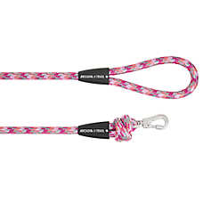 Arcadia Trail Paracord Rope Dog Leash, Walking Dog Leash, Hiking Dog Leash, 4' Long