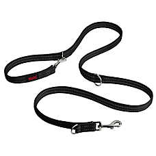 Halti? Training Dog Leash