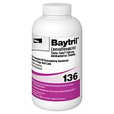 Baytril (enrofloxacin) Taste Tabs Antibacterial for Dog & Cat - 22.7mg, 68mg, 136mg - Single Tablet