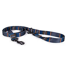Pendleton Olympic National Park Adventure Dog Leash; 6-ft long