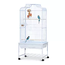 All Living Things® Multi-Bird Cage with Extra Space & Perches for Multiple Small & Medium Birds