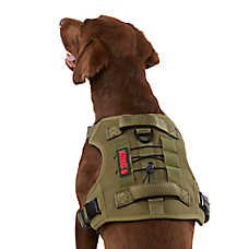 KONG? Double Handle Vest, Adjustable, Dog Harness