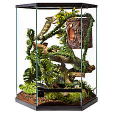 Thrive Vertical Hexagon Tropical Reptile Terrarium - 20 Gallon -10.1x16.6x22.4