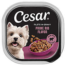Cesar? Classics Adult Wet Dog Food - Filets in Gravy , 3.5 Oz.