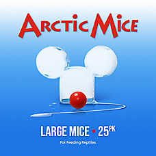 Arctic Mice Frozen Large Mice - Frozen Reptile Food - 25-50 ct