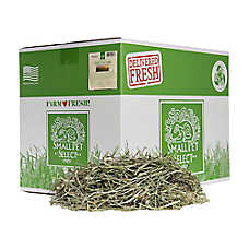 Small Pet Select 2nd Cut Timothy Hay