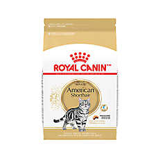 Royal Canin American Shorthair Adult Cat Food 5.5LB