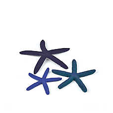biOrb Starfish Aquarium Decor Aquarium Reef Decor