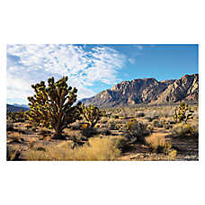 Thrive Desert Cling Background - Terrarium Background