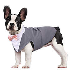 Kuoser Grey Dog Tuxedo Suit & Bandana Set, Formal Dog Clothing for Weddings, Parties & Events