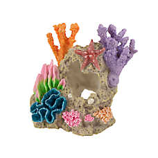Top Fin? Coral Swim Through Aquarium Ornament - Fish Tank Decor - Medium