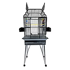 A&E Cage Company Victorian Open Top Pet Bird Cage for Large Birds