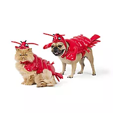 Thrills & Chills Lobster Dog & Cat Costume